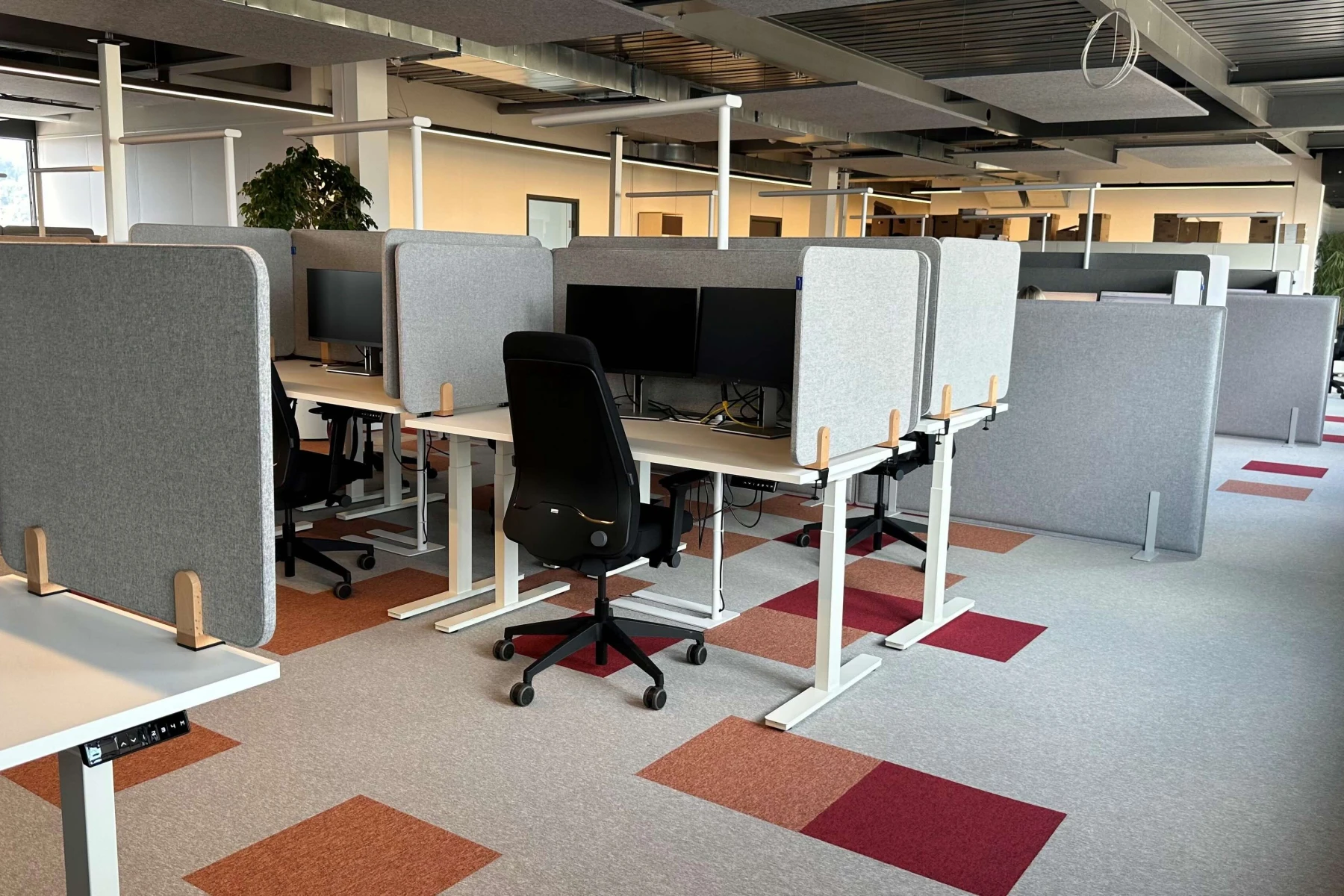 Arbeitsplätze Lyreco Schweiz AG